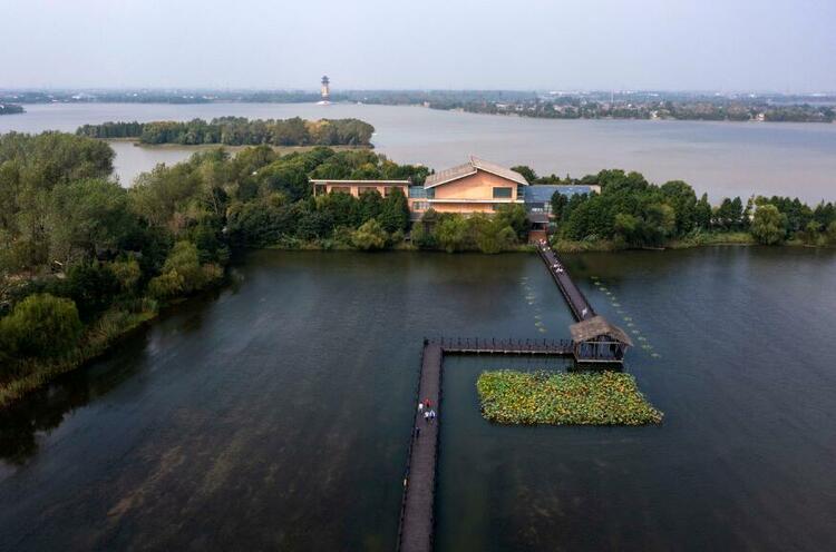 泰州溱湖湿地秋景如画