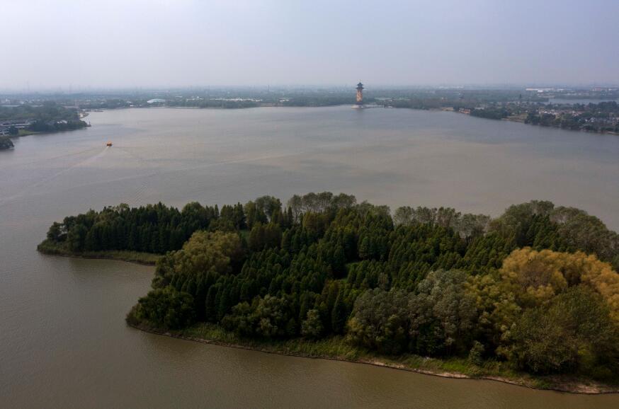 泰州溱湖湿地秋景如画