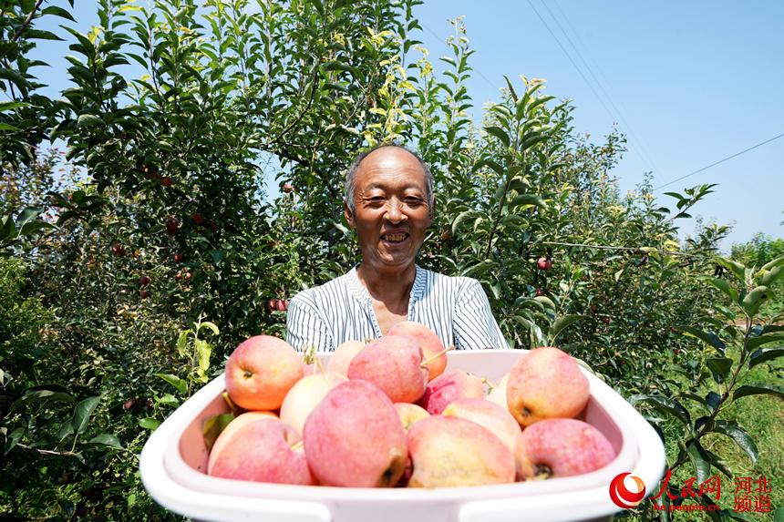 河北巨鹿：特色种植助农增收