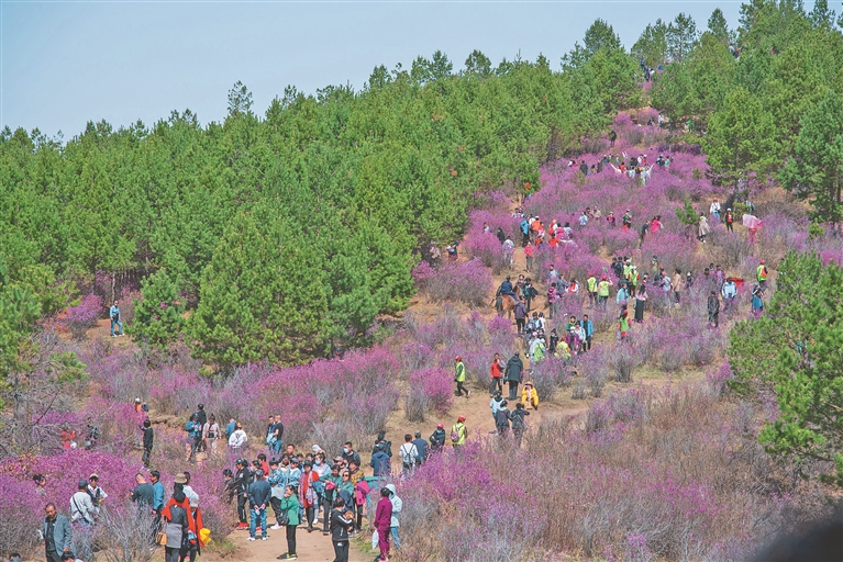 从“黑色”煤城转向“彩色”旅游之地 探究双鸭山“ 多彩 ”之变