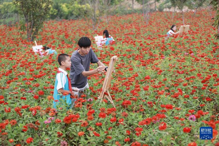 河北内丘：荒地变花海 铺就致富路