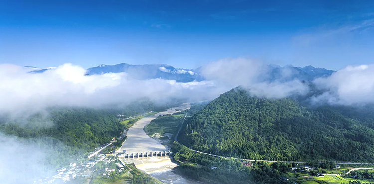 Experts and Scholars Gathered in Chengdu Pengzhou to Discuss the Ecological Construction of Homestay Industry_fororder_图片1