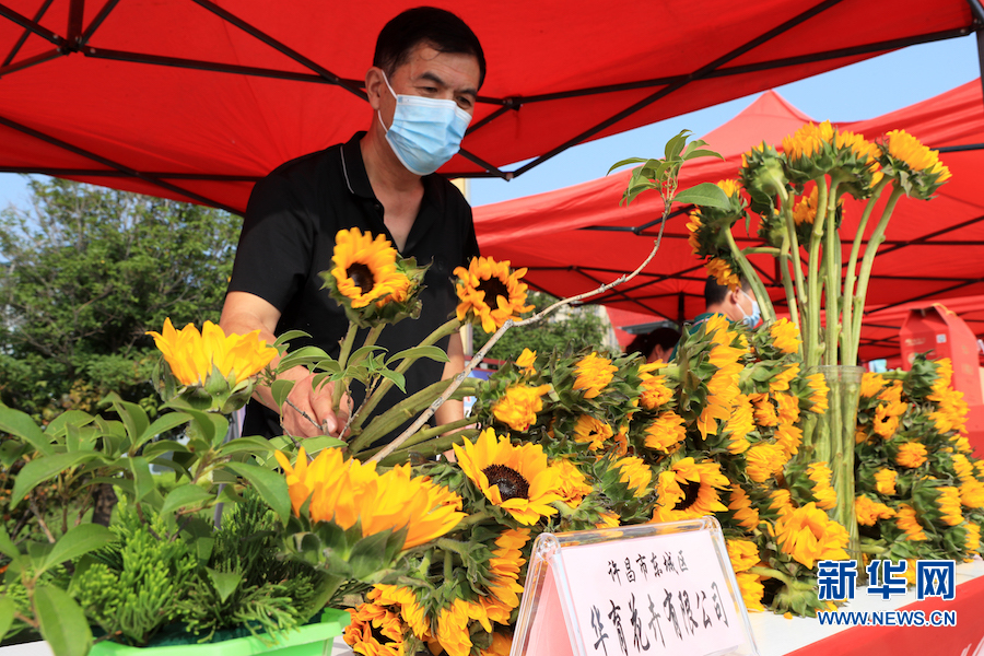 河南许昌：“科技大集”体验科技魅力