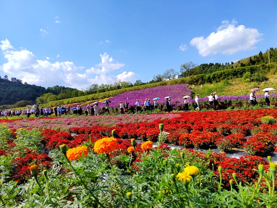 （供稿）黔东南州第十三届旅游产业发展大会推介会在麻江举行_fororder_麻江2