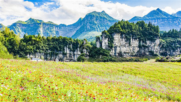 【城市远洋带图】南川：叠石成山万卷书 粉黛花海观碧湖