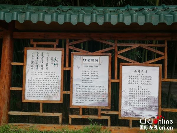 竹荷风韵 吹满绿城  ——首届竹荷文化节在南宁狮山公园举行