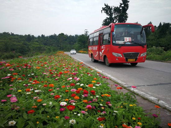 【区县联动】【铜梁】铜梁：条条公路鲜花相伴 原乡风情成景观