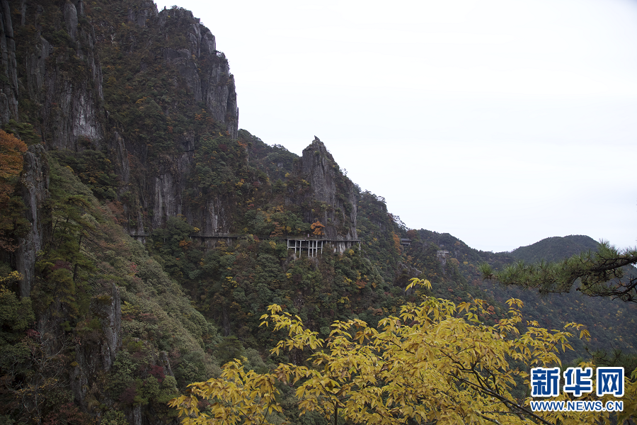 吉安羊狮慕：初冬风景美如画