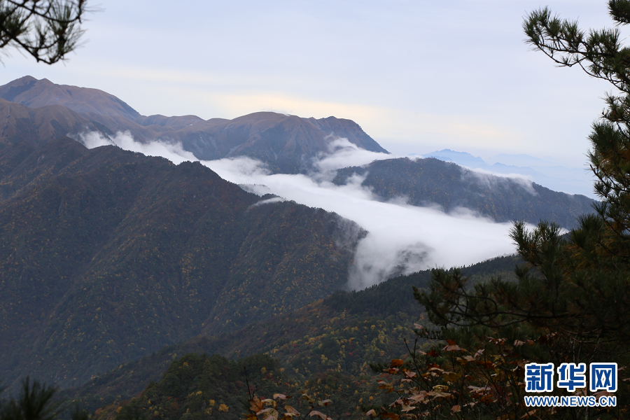 吉安羊狮慕：初冬风景美如画