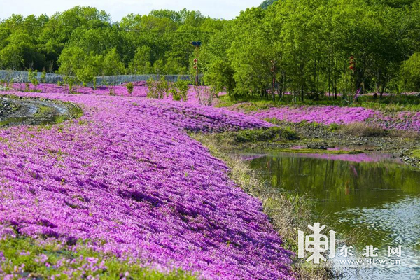 多彩双鸭山 如画美景等您来——彩云岭文化旅游民俗景区