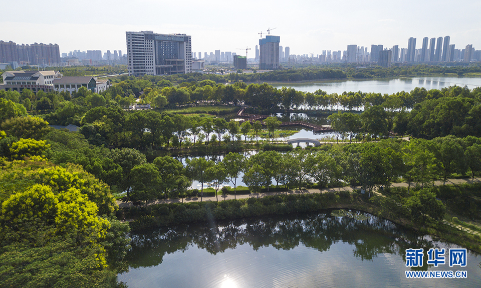 航拍武汉金银湖国家城市湿地公园