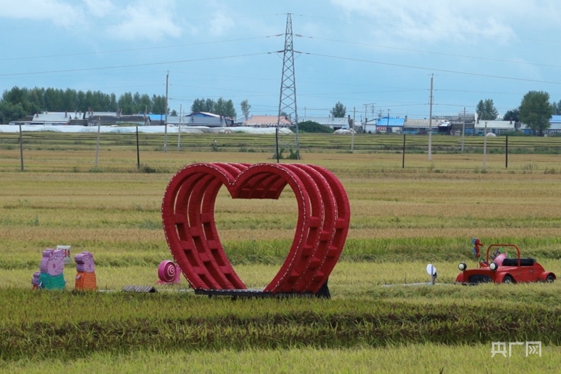 庆安县：绿色种植 稻米飘香