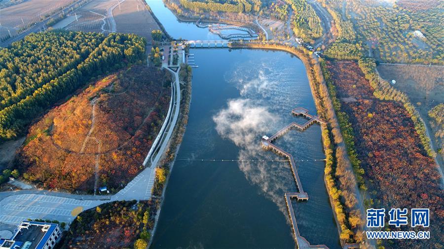 河北乐亭：滦河故道变身“城市绿肺”