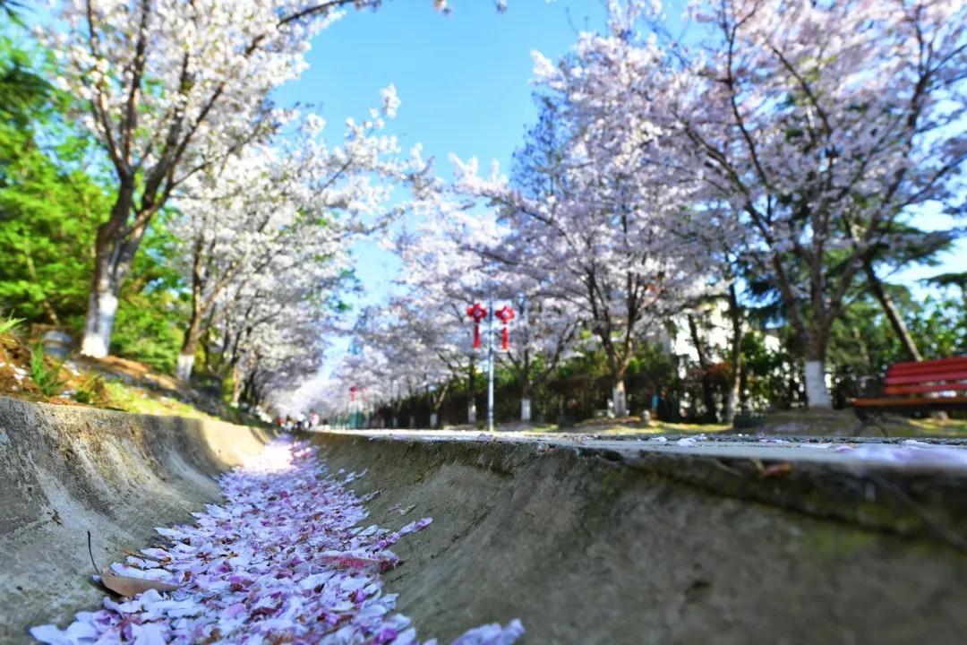 无锡惠山：四季西漳公园