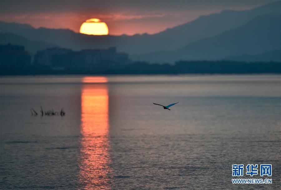 深圳：秋意渐浓 候鸟南归