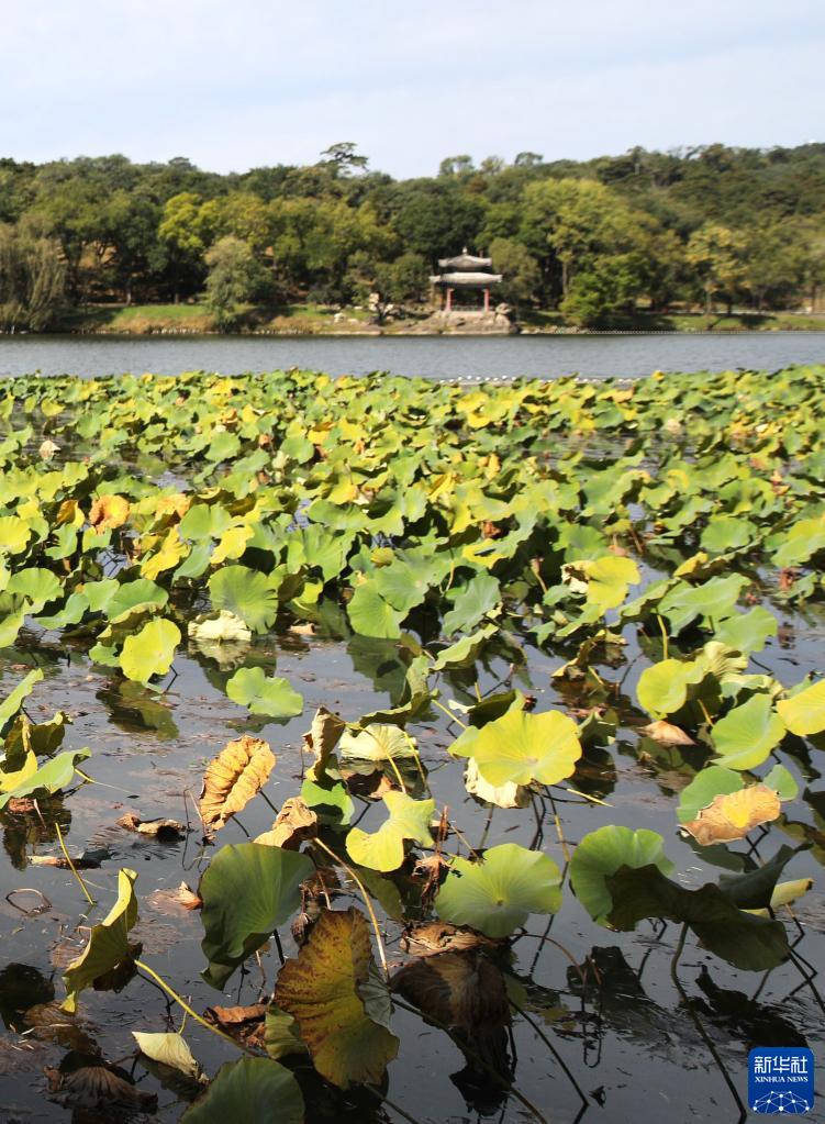 承德避暑山庄及周围寺庙秋景如画