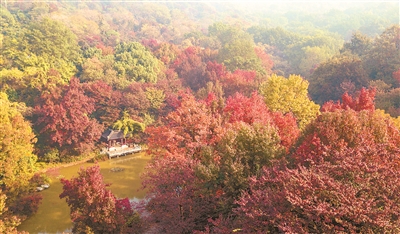 南京旅游登山节开幕 活动历时40天