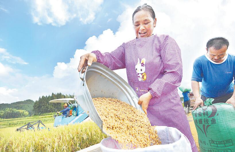 福建：田畴千里绿 兴农正当时