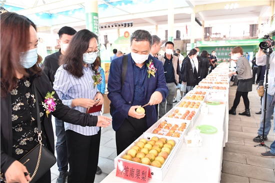 鞍山市农产品品牌宣推活动暨第七场辽宁优质特色农产品品牌宣传推介活动启幕_fororder_鞍山4 现场品鉴 摄影：董楠楠