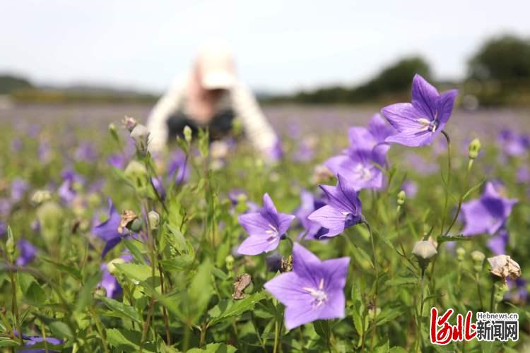 河北承德：农旅融合助力乡村振兴