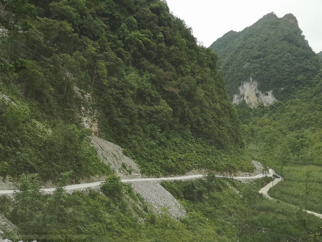 广西凌云县：大石山区“毛细血管”畅通致富路