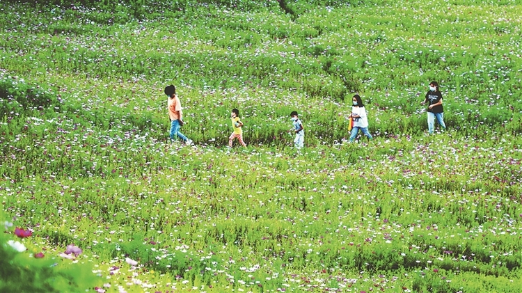 景城一体山水进城 建构城市爱的地标