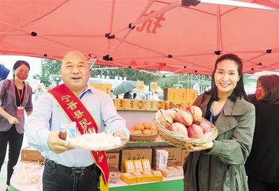 河北宁晋：特色小镇撑起乡村振兴“四梁八柱”