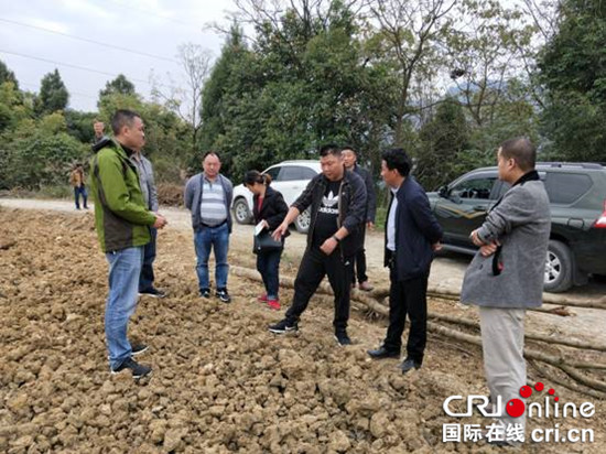 已过审【区县联动】【武隆】武隆祥宇农业“三举措”督查生态果园环保安全【区县联动 列表】武隆祥宇农业督查生态果园环保安全