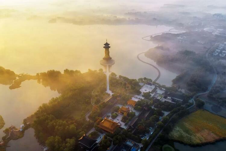 泰州溱湖湿地秋景如画