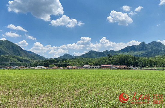 河北：守护蓝天碧水净土 厚植绿色发展底色