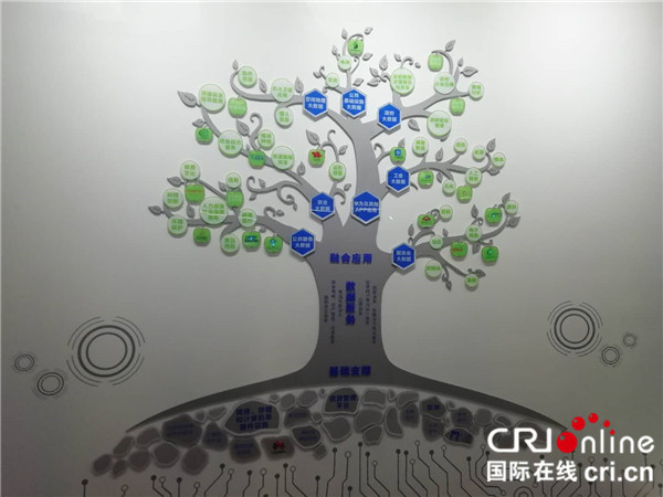 【加急】钦州加快建设成为“一带一路”数字节点