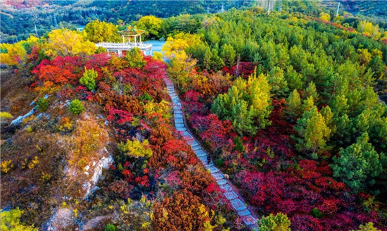 “十一”好去处 沈阳都市旅游圈推出8条秋季主题游线路_fororder_旅游6_副本