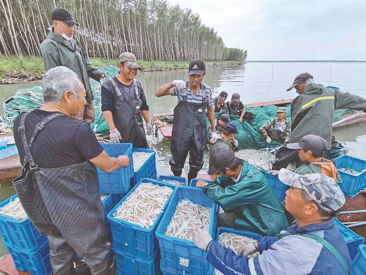 “南鱼北游” 湖水生金