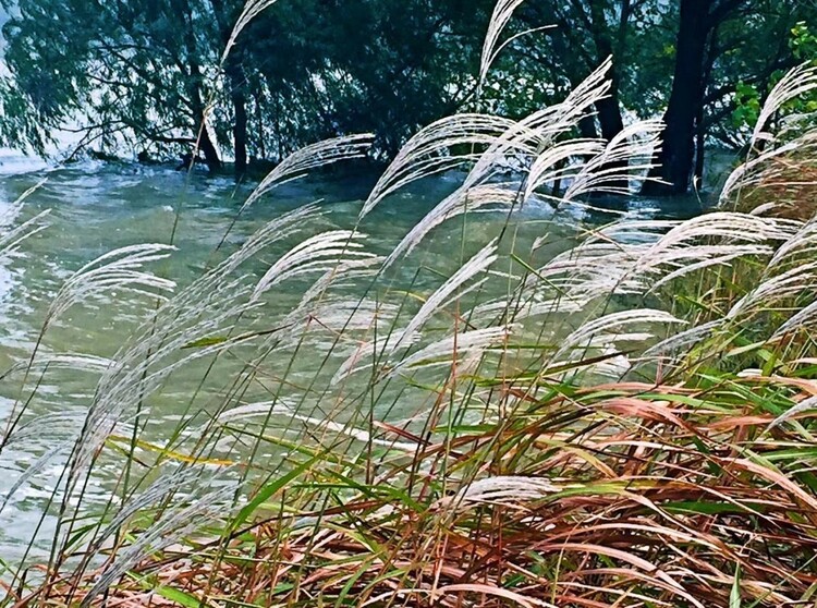 扬州江都南水北调源头：秋水长天一色 辉映初心画卷