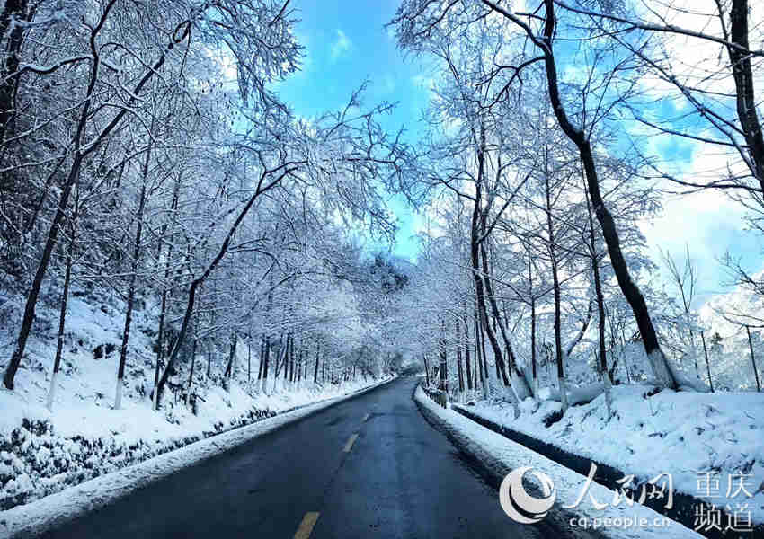 图片默认标题_fororder_生态优美的风景。城口县文旅委供图