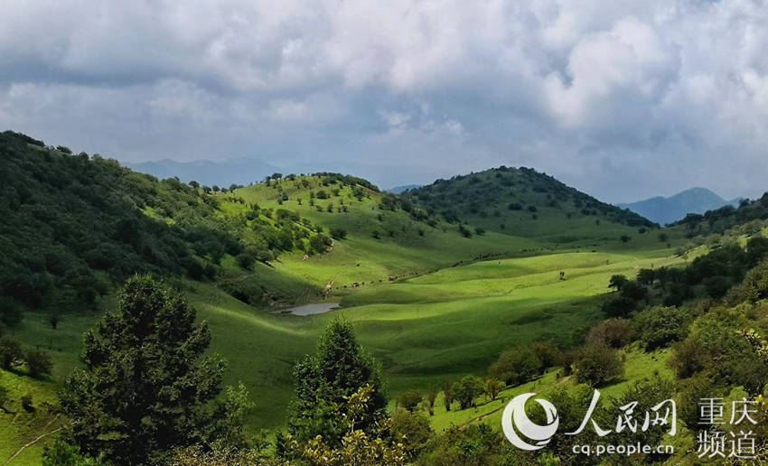 图片默认标题_fororder_生态优美的风景。城口县文旅委供图2