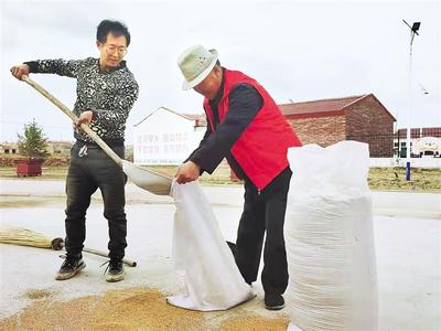 让农村党员成为乡村振兴“领头雁”——康保推行农村党员“三定两有一经常”模式探访