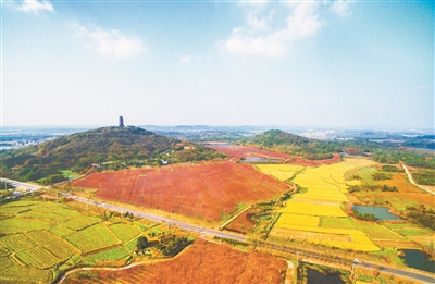 （三农）南京：夯实耕地保护基石 构筑全市发展高地