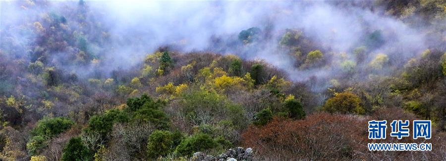 航拍陕西南宫山 云雾缭绕 层林尽染