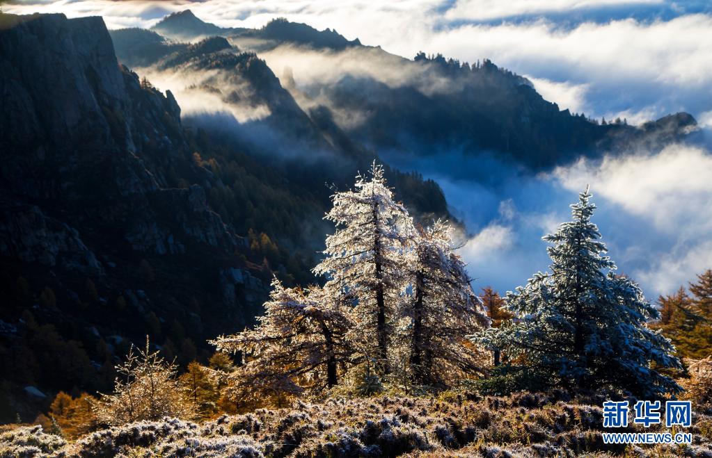 【“飞阅”中国】赏芦芽秋色 观漫山云海_fororder_4