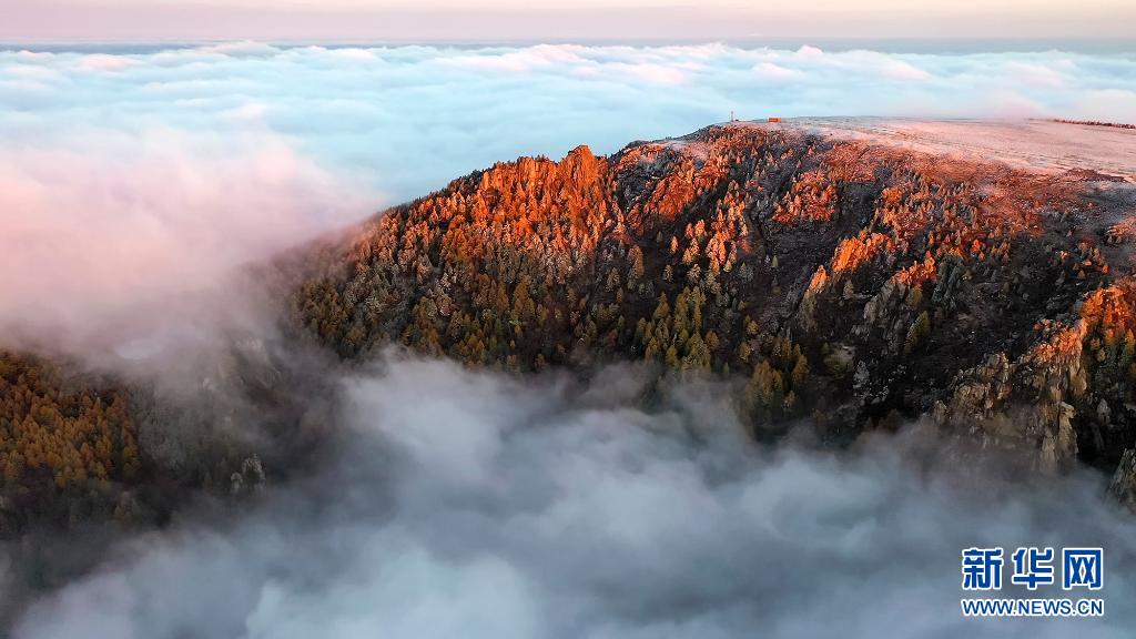 赏芦芽秋色 观漫山云海