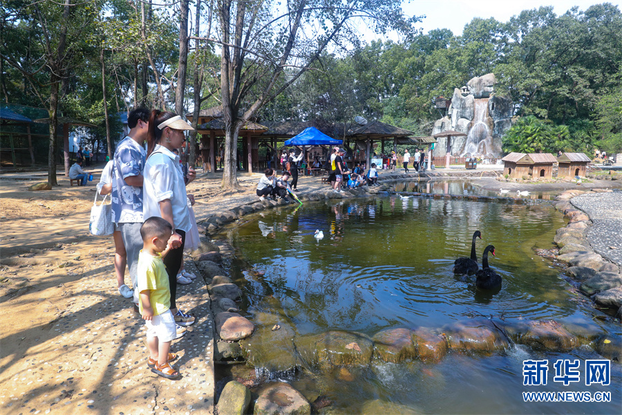 河南信阳：南湾湖风景如画引客来