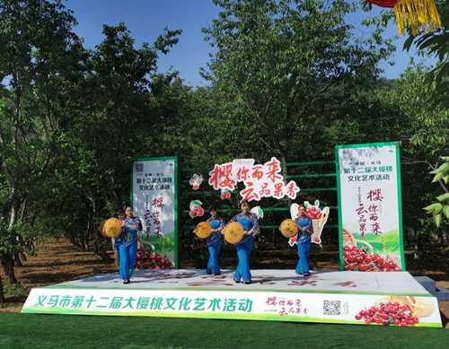 OK【河南在线】河南省义马市东区街道办：大樱桃铺就群众致富路