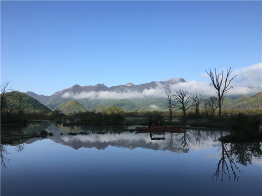 【急稿】【湖北】【CRI原创】湖北神农架景区2019旅游推介会在上海举行