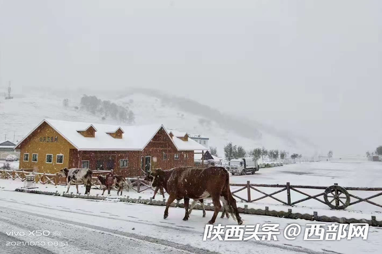 【中首 陕西】宝鸡第一场雪来袭！交警提醒：低速匀速行驶