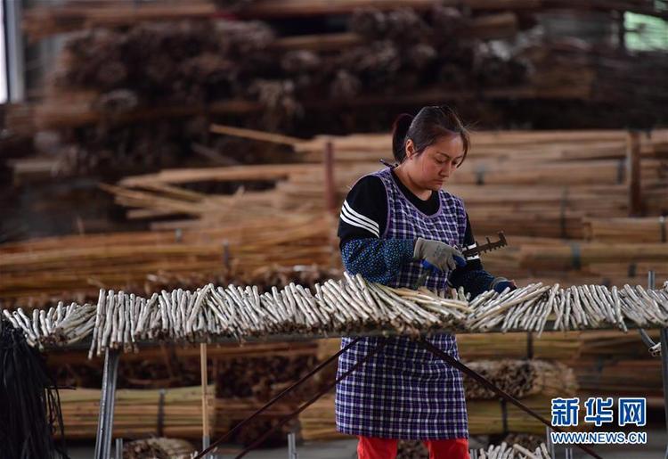 广西融安：粤桂扶贫车间助力脱贫攻坚