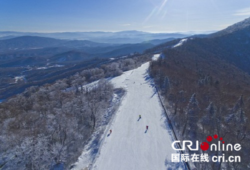 供稿已过【大美龙江】初冬的雪