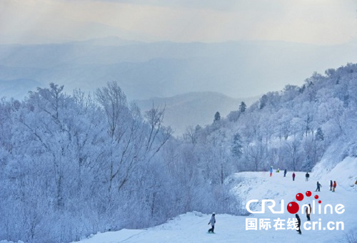 供稿已过【大美龙江】初冬的雪