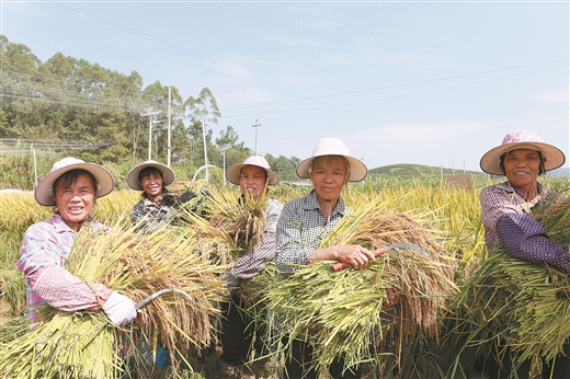 广西上林：不一样的丰收节