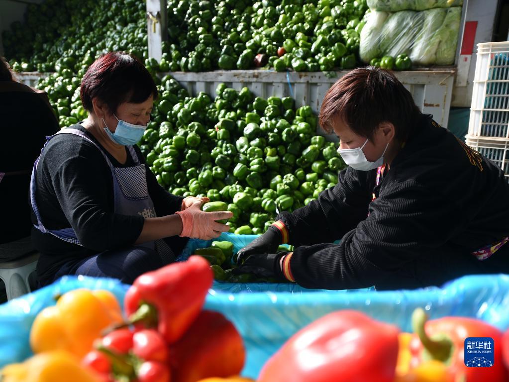 河北石家庄：保障生活物资平稳供应